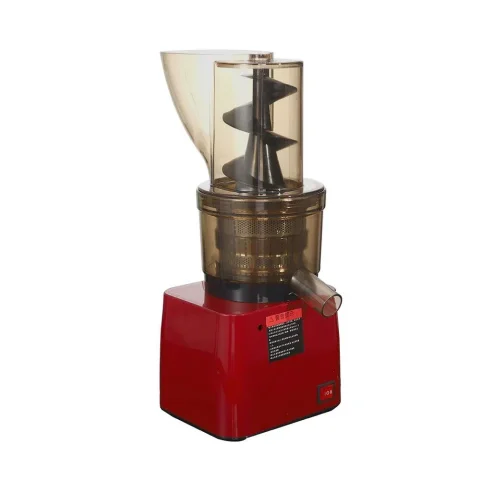 Electric Slow Juicer